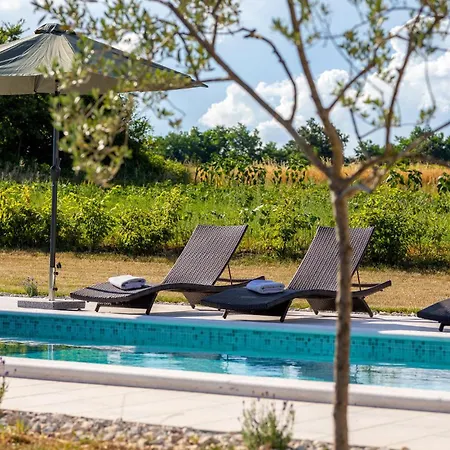 Holiday home Amazing In Zminj *