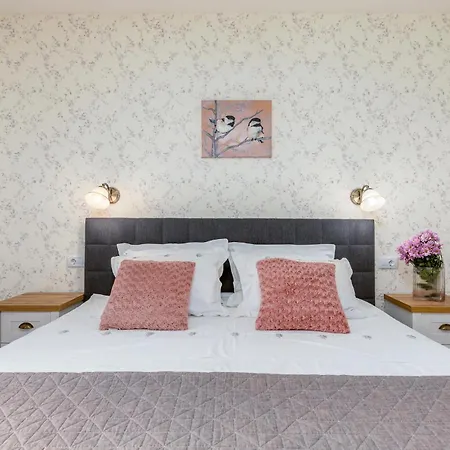 Holiday home Amazing In Zminj Bencici